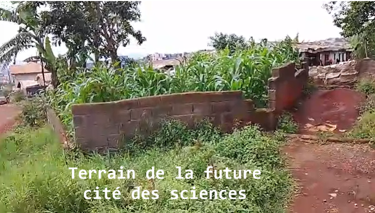 Du nouveau dans les pojets
